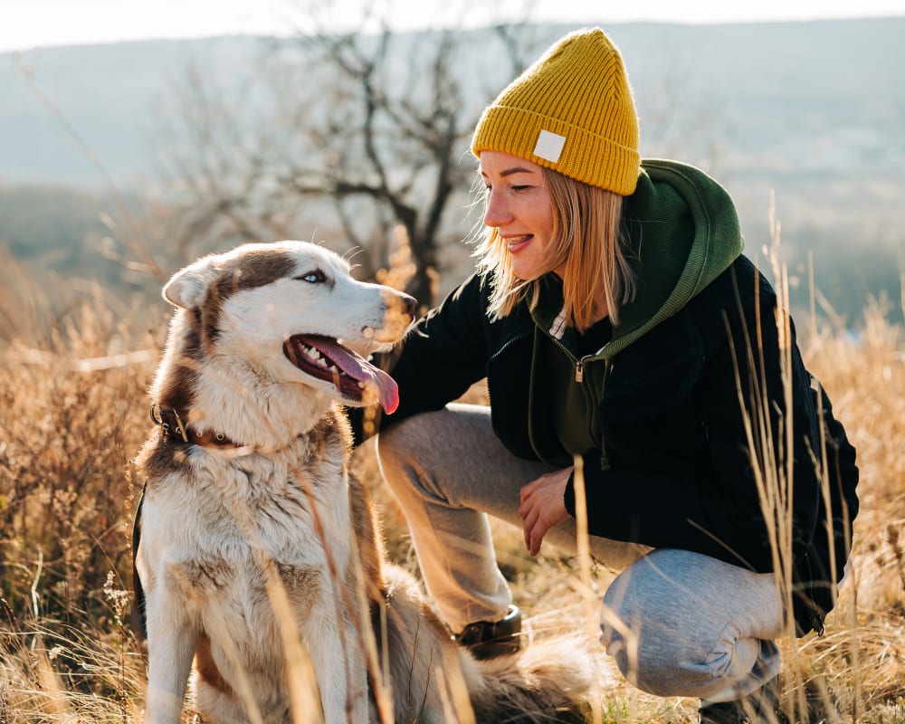 Internal Medicine for Cats & Dogs, Kamloops