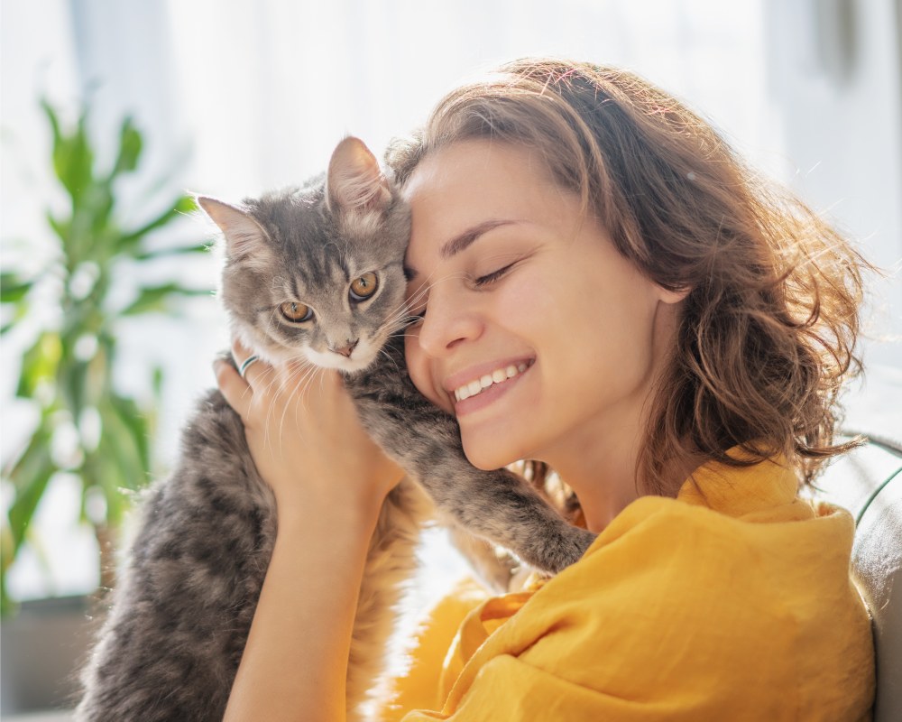 Diagnostic & Lab Technology, Kamloops Vet